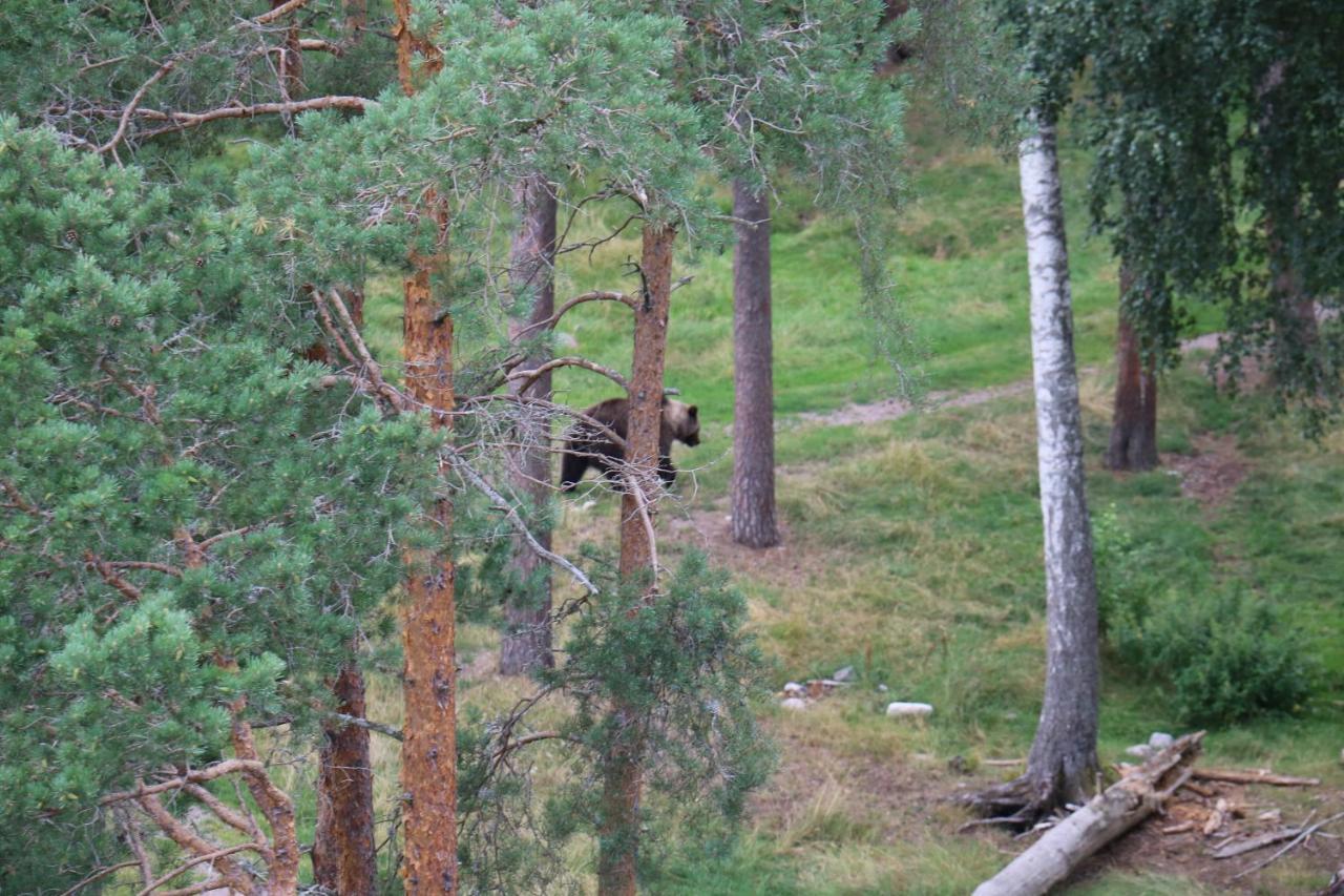 Apartmán Bograngen Lgh B Brograngen Exteriér fotografie